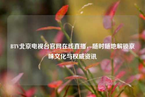 BTV北京电视台官网在线直播,随时随地解锁京味文化与权威资讯