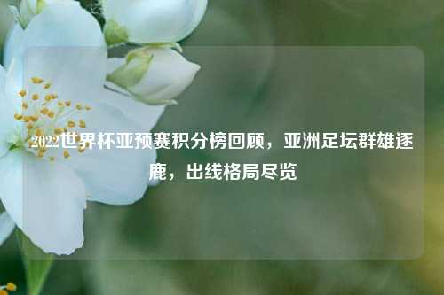 2022世界杯亚预赛积分榜回顾，亚洲足坛群雄逐鹿，出线格局尽览