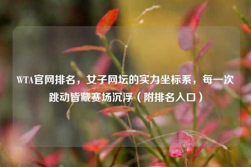 WTA官网排名,女子网坛的实力坐标系,每一次跳动皆藏赛场沉浮(附排名入口)