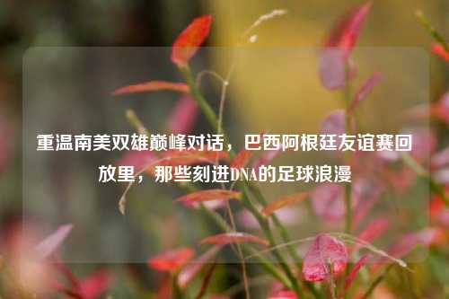 重温南美双雄巅峰对话,巴西阿根廷友谊赛回放里,那些刻进DNA的足球浪漫