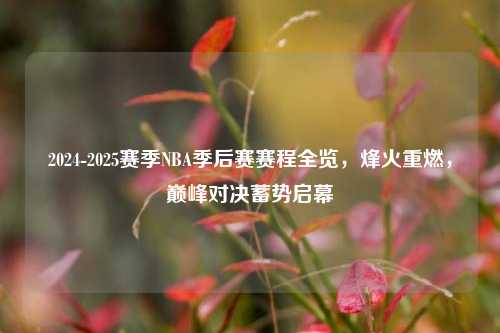 2024-2025赛季NBA季后赛赛程全览,烽火重燃,巅峰对决蓄势启幕