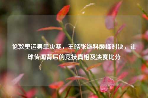 伦敦奥运男单决赛,王皓张继科巅峰对决,让球传闻背后的竞技真相及决赛比分