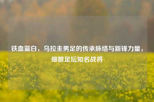 铁血蓝白,乌拉圭男足的传承脉络与新锋力量,细数足坛知名战将