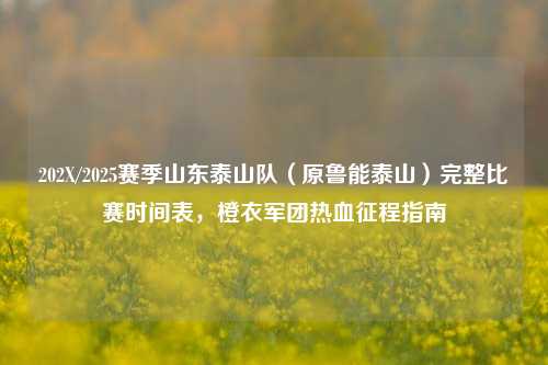 202X/2025赛季山东泰山队(原鲁能泰山)完整比赛时间表,橙衣军团热血征程指南