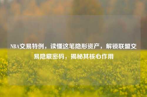 NBA交易特例,读懂这笔隐形资产,解锁联盟交易隐藏密码,揭秘其核心作用