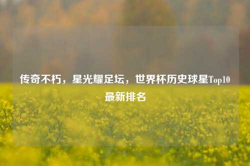 传奇不朽,星光耀足坛,世界杯历史球星Top10最新排名