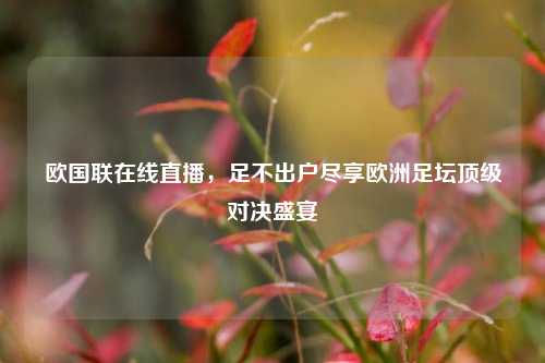 欧国联在线直播，足不出户尽享欧洲足坛顶级对决盛宴