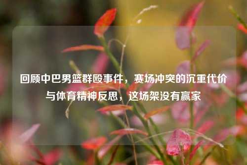 回顾中巴男篮群殴事件,赛场冲突的沉重代价与体育精神反思,这场架没有赢家