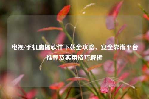 电视/手机直播软件下载全攻略,安全靠谱平台推荐及实用技巧解析