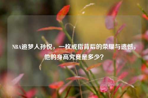 NBA追梦人孙悦,一枚戒指背后的荣耀与遗憾,他的身高究竟是多少?