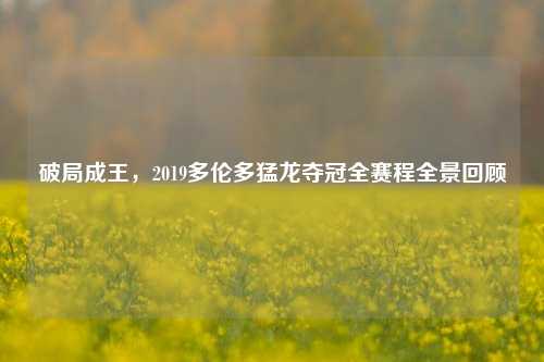 破局成王,2019多伦多猛龙夺冠全赛程全景回顾
