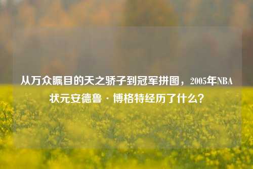 从万众瞩目的天之骄子到冠军拼图，2005年NBA状元安德鲁·博格特经历了什么？