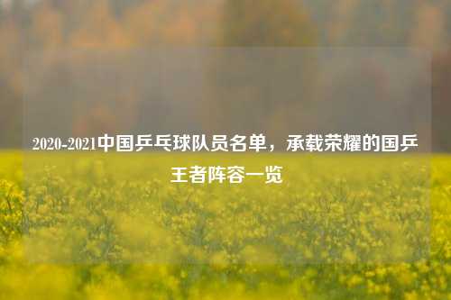2020-2021中国乒乓球队员名单,承载荣耀的国乒王者阵容一览