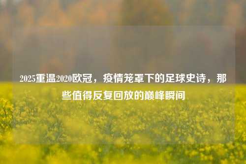 2025重温2020欧冠,疫情笼罩下的足球史诗,那些值得反复回放的巅峰瞬间