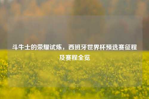 斗牛士的荣耀试炼,西班牙世界杯预选赛征程及赛程全览
