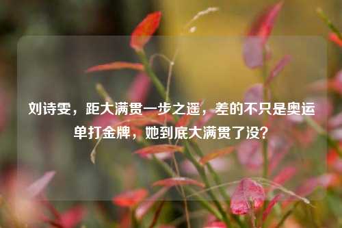 刘诗雯,距大满贯一步之遥,差的不只是奥运单打金牌,她到底大满贯了没?