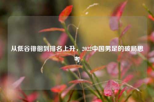 从低谷徘徊到排名上升,2022中国男足的破局思考