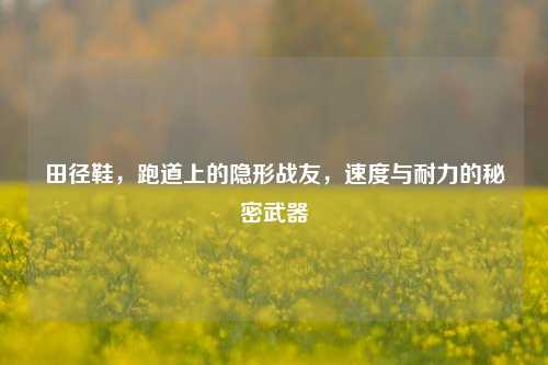 田径鞋,跑道上的隐形战友,速度与耐力的秘密武器