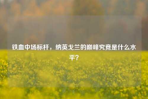 铁血中场标杆,纳英戈兰的巅峰究竟是什么水平?