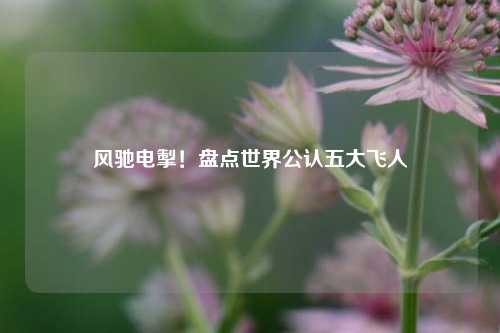 风驰电掣!盘点世界公认五大飞人