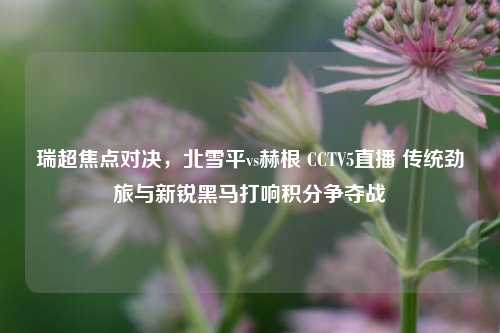 瑞超焦点对决,北雪平vs赫根 CCTV5直播 传统劲旅与新锐黑马打响积分争夺战