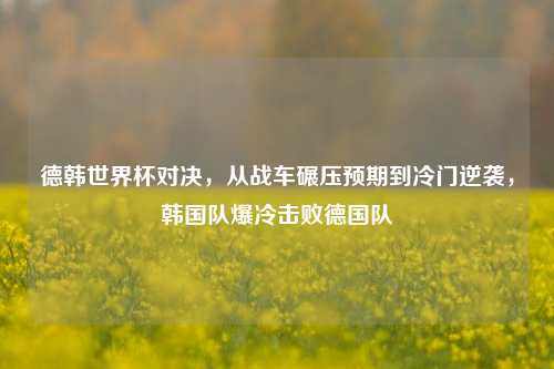 德韩世界杯对决，从战车碾压预期到冷门逆袭，韩国队爆冷击败德国队