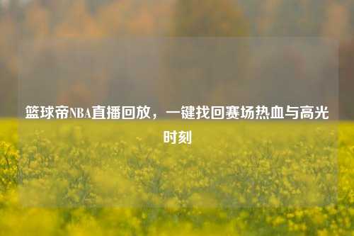 篮球帝NBA直播回放,一键找回赛场热血与高光时刻