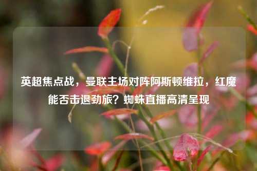 英超焦点战,曼联主场对阵阿斯顿维拉,红魔能否击退劲旅?蜘蛛直播高清呈现