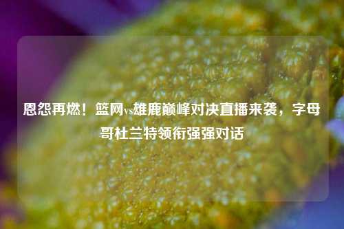 恩怨再燃!篮网vs雄鹿巅峰对决直播来袭,字母哥杜兰特领衔强强对话
