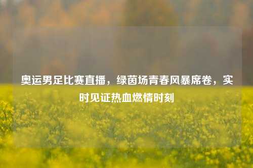奥运男足比赛直播，绿茵场青春风暴席卷，实时见证热血燃情时刻