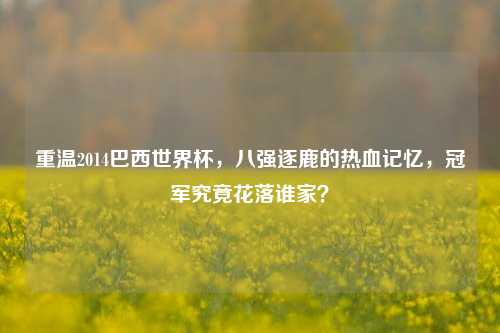 重温2014巴西世界杯,八强逐鹿的热血记忆,冠军究竟花落谁家?