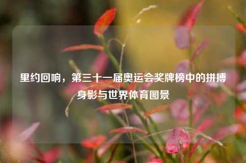 里约回响,第三十一届奥运会奖牌榜中的拼搏身影与世界体育图景