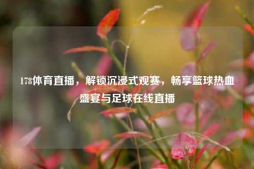 178体育直播，解锁沉浸式观赛，畅享篮球热血盛宴与足球在线直播
