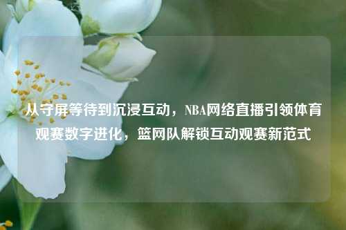 从守屏等待到沉浸互动,NBA网络直播引领体育观赛数字进化,篮网队解锁互动观赛新范式