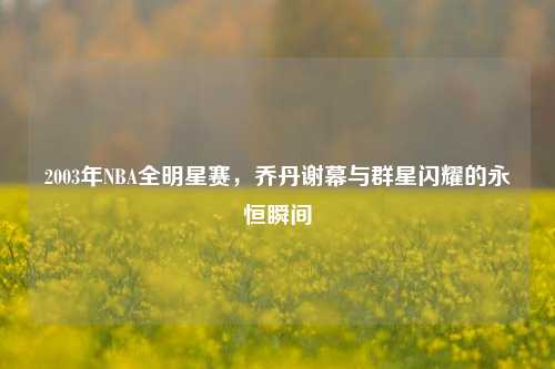 2003年NBA全明星赛,乔丹谢幕与群星闪耀的永恒瞬间