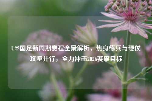 U22国足新周期赛程全景解析，热身练兵与硬仗攻坚并行，全力冲击2026赛事目标