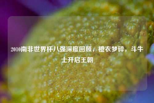 2010南非世界杯八强深度回顾,橙衣梦碎,斗牛士开启王朝