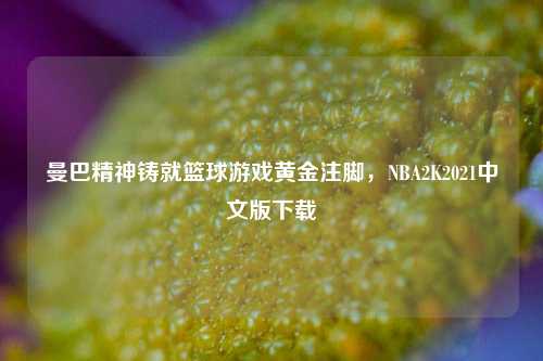 曼巴精神铸就篮球游戏黄金注脚,NBA2K2021中文版下载