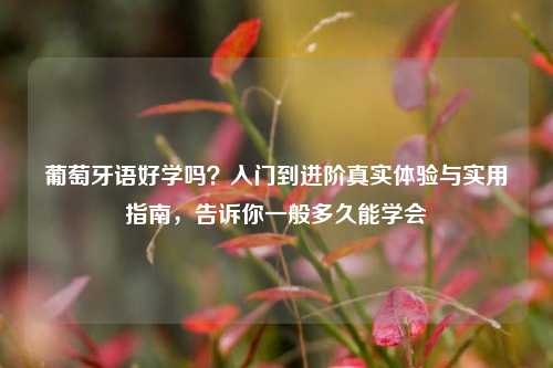 葡萄牙语好学吗？入门到进阶真实体验与实用指南，告诉你一般多久能学会