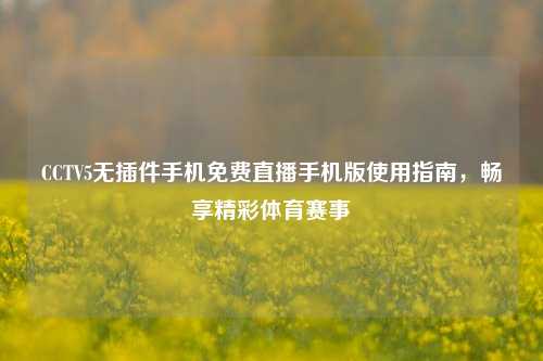 CCTV5无插件手机免费直播手机版使用指南，畅享精彩体育赛事