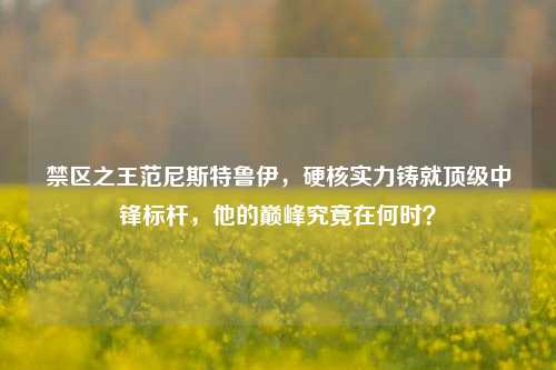 禁区之王范尼斯特鲁伊,硬核实力铸就顶级中锋标杆,他的巅峰究竟在何时?