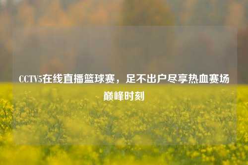 CCTV5在线直播篮球赛，足不出户尽享热血赛场巅峰时刻