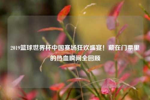 2019篮球世界杯中国赛场狂欢盛宴！藏在门票里的热血瞬间全回顾