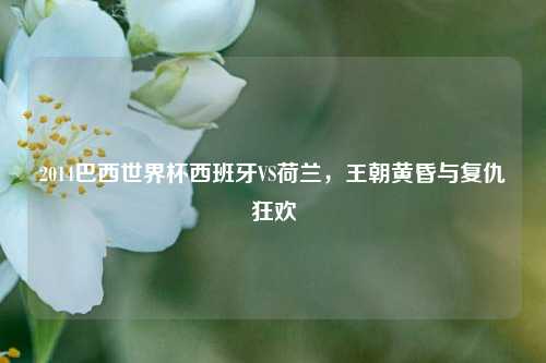 2014巴西世界杯西班牙VS荷兰,王朝黄昏与复仇狂欢