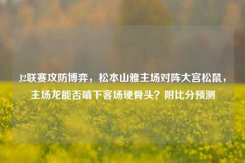 J2联赛攻防博弈,松本山雅主场对阵大宫松鼠,主场龙能否啃下客场硬骨头?附比分预测