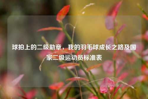 球拍上的二级勋章,我的羽毛球成长之路及国家二级运动员标准表