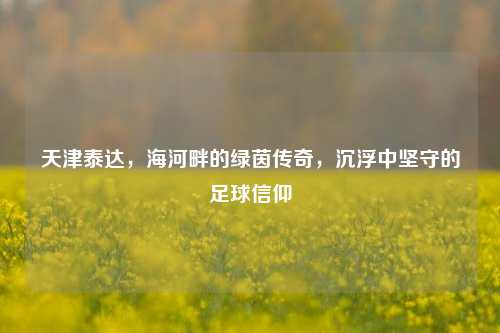 天津泰达,海河畔的绿茵传奇,沉浮中坚守的足球信仰
