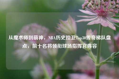从魔术师到萌神,NBA历史控卫Top30传奇梯队盘点,前十名将领衔球场指挥官阵容