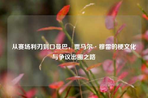 从赛场利刃到口曼巴,贾马尔·穆雷的梗文化与争议出圈之路