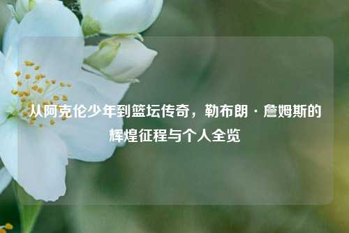 从阿克伦少年到篮坛传奇，勒布朗·詹姆斯的辉煌征程与个人全览